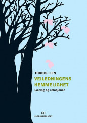 Veiledningens hemmelighet av Tordis Lien (Heftet)
