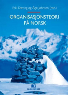 Organisasjonsteori på norsk av Erik Døving og Åge Johnsen (Innbundet)