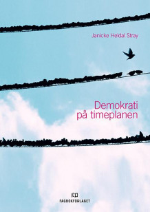 Demokrati på timeplanen av Janicke Heldal Stray (Heftet)