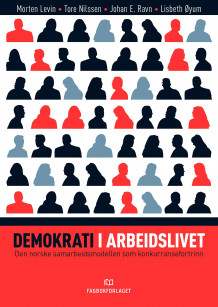 Demokrati i arbeidslivet av Morten Levin, Tore Nilssen, Johan E. Ravn og Lisbeth Øyum (Heftet)