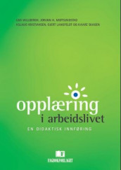 Opplæring i arbeidslivet av Aslaug Kristiansen, Gjert Langfeldt, Jorunn H. Midtsundstad, Kaare Skagen og Ilmi Willbergh (Heftet)