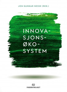 Innovasjonsøkosystem av Jon Gunnar Nesse (Heftet)