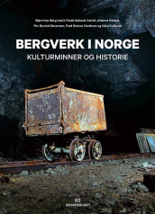 Bergverk i Norge av Kåre Kullerud, Fred Steinar Nordrum, Astrid Johanne Nyland, Frode Sæland og Per Øyvind Østensen (Innbundet)