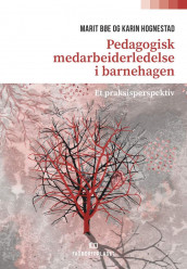 Pedagogisk medarbeiderledelse i barnehagen av Marit Bøe og Karin Hognestad (Heftet)