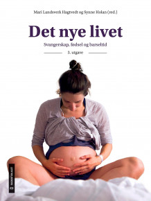 Det nye livet av Mari Landsverk Hagtvedt og Synne Holan (Heftet)
