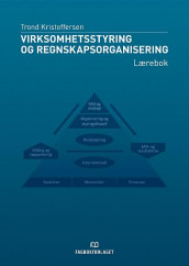 Virksomhetsstyring og regnskapsorganisering av Trond Kristoffersen (Ebok)