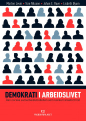 Demokrati i arbeidslivet av Morten Levin, Tore Nilssen, Johan E. Ravn og Lisbeth Øyum (Ebok)