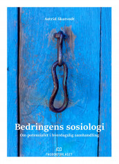 Bedringens sosiologi av Astrid Skatvedt (Heftet)