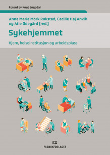 Sykehjemmet av Anne Marie Mork Rokstad, Cecilie Høj Anvik og Atle Ødegård (Heftet)