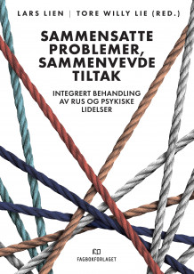 Sammensatte problemer, sammenvevde tiltak av Lars Lien og Tore Willy Lie (Heftet)