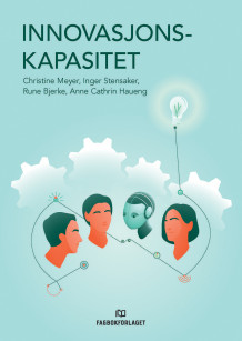 Innovasjonskapasitet av Christine B. Meyer, Inger G. Stensaker, Rune Bjerke og Anne Cathrin Haueng (Heftet)