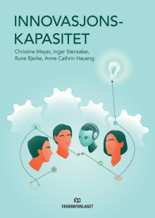 Innovasjonskapasitet av Christine B. Meyer, Inger G. Stensaker, Rune Bjerke og Anne Cathrin Haueng (Heftet)