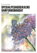 Spesialpedagogikkens samfunnsmandat av Rune Sarromaa Hausstätter (Heftet)