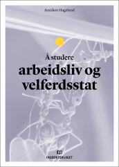 Å studere arbeidsliv og velferdsstat av Anniken Hagelund (Heftet)