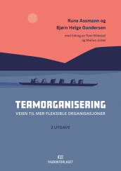 Teamorganisering av Rune Assmann, Bjørn Helge Gundersen og Tore Hillestad (Heftet)