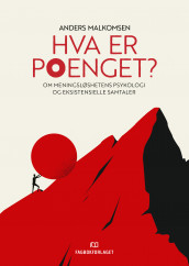 Hva er poenget? av Anders Malkomsen (Heftet)