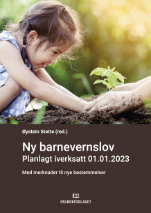 Ny barnevernslov av Øystein Stette (Heftet)