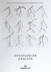 Sosiologisk analyse av Roger Hestholm og Ove Skarpenes (Heftet)