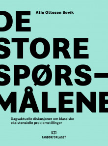 De store spørsmålene av Atle Ottesen Søvik (Heftet)