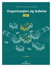 Organisasjon og ledelse av Per Høiseth, Yngve B. Lund og Gunnar Ottesen (Ebok)