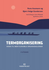 Teamorganisering av Rune Assmann, Bjørn Helge Gundersen og Tore Hillestad (Ebok)