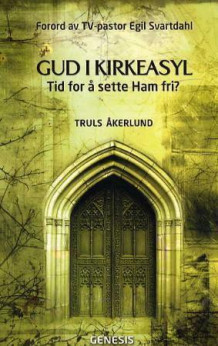 Gud i kirkeasyl av Truls Åkerlund (Heftet)