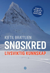 Snøskred av Kjetil Brattlien (Innbundet)