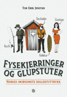 Fysekjerringer og glupstuter av Tor Erik Jenstad (Innbundet)