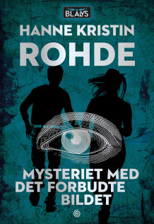 Mysteriet med det forbudte bildet av Hanne Kristin Rohde (Ebok)