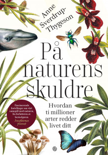 På naturens skuldre av Anne Sverdrup-Thygeson (Innbundet)