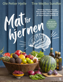 Mat for hjernen av Ole Petter Hjelle og Tine Mejlbo Sundfør (Innbundet)