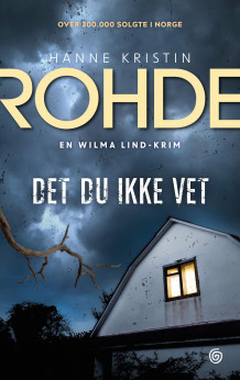 Det du ikke vet av Hanne Kristin Rohde (Ebok)