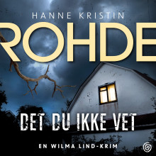 Det du ikke vet av Hanne Kristin Rohde (Nedlastbar lydbok)