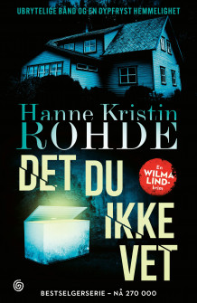 Det du ikke vet av Hanne Kristin Rohde (Heftet)