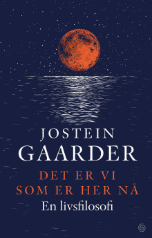 Det er vi som er her nå av Jostein Gaarder (Ebok)