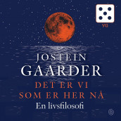 Det er vi som er her nå av Jostein Gaarder (Nedlastbar lydbok)