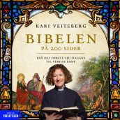 Bibelen på 200 sider av Kari Veiteberg (Nedlastbar lydbok)
