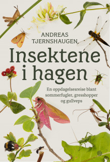 Insektene i hagen av Andreas Tjernshaugen (Innbundet)