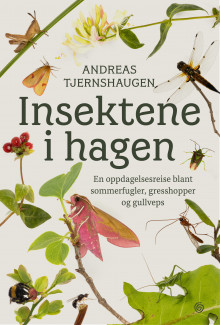 Insektene i hagen av Andreas Tjernshaugen (Innbundet)