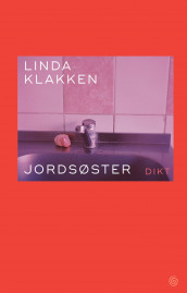 Jordsøster av Linda Klakken (Innbundet)