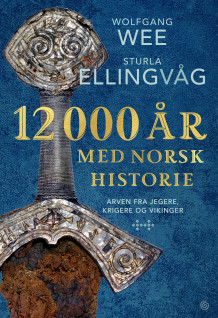 12 000 år med norsk historie av Wolfgang Wee og Sturla Ellingvåg (Ebok)