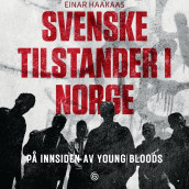 Svenske tilstander i Norge av Einar Haakaas (Nedlastbar lydbok)