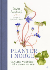 Planter i Norge av Inger Auestad (Innbundet)