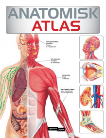Anatomisk atlas (Innbundet)