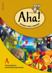 Aha! av Herdis Øyehaug Karlstad og Solveig Nyborg (Heftet)