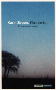 Klassereise av Karin Sveen (Heftet)