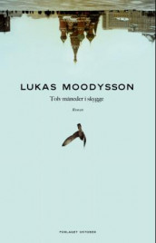 Tolv måneder i skygge av Lukas Moodysson (Innbundet)