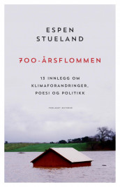700-årsflommen av Espen Stueland (Innbundet)