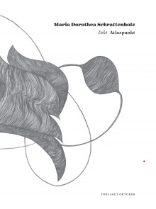 Atlaspunkt av Maria Dorothea Schrattenholz (Ebok)