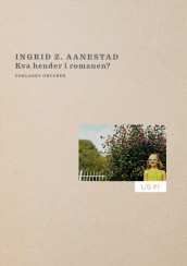 Kva hender i romanen? av Ingrid Z. Aanestad (Heftet)